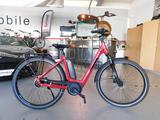 Trenoli BRENTA Classico*Bosch Perfor*Nexus Narbe - Trenoli E-Bikes