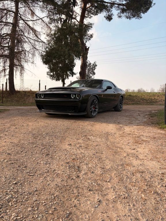 Image of Other Other