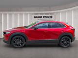 Mazda CX-30 Homura 2.0 e-SKYA.X. MHEV Aut. | LED | ACC - Mazda CX-30 aus 2023