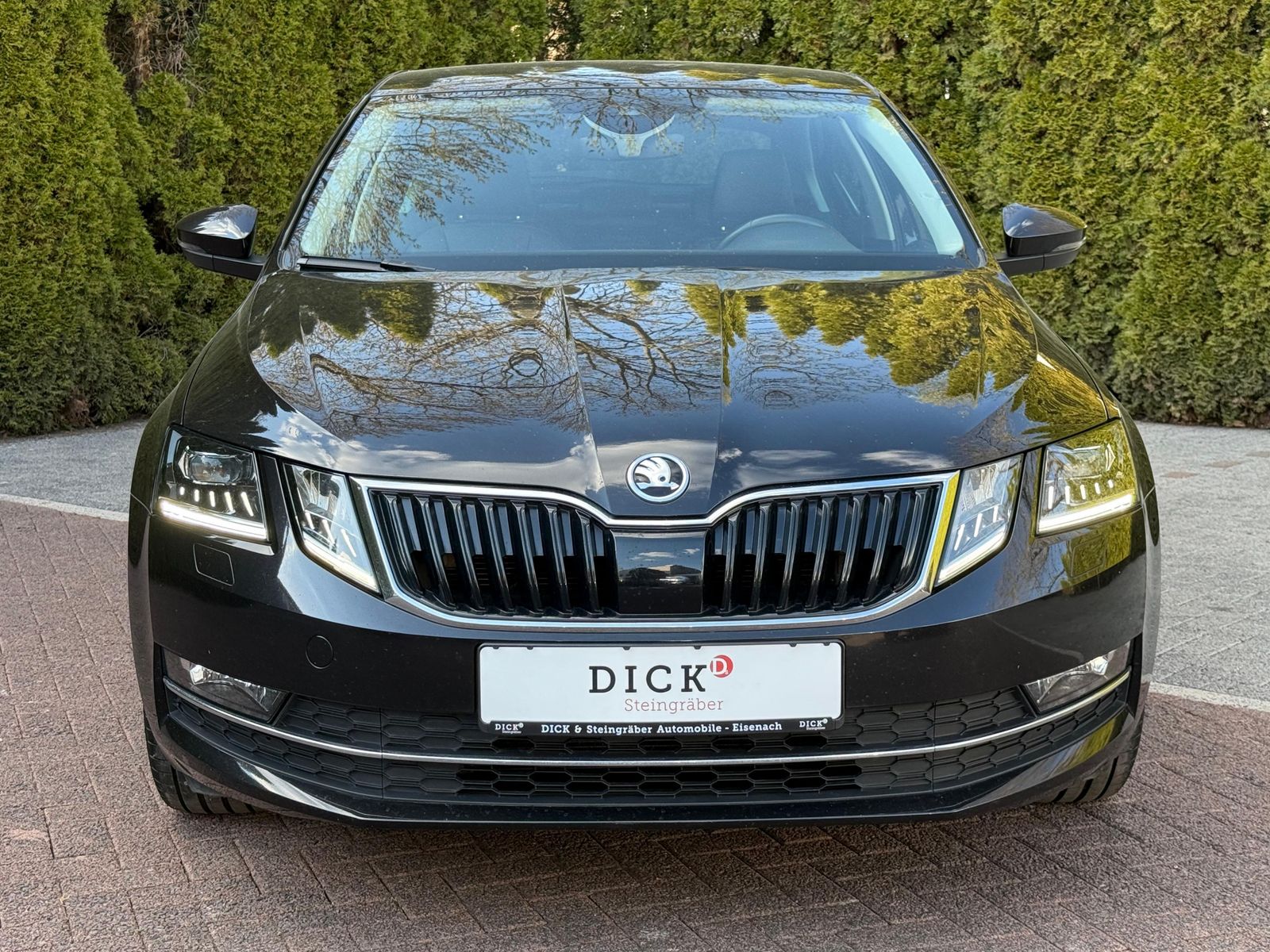Fahrzeugabbildung SKODA Octavia 1.6 TDI Premium Edition LED+KAM+TEMP+SHZ
