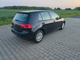 Volkswagen Golf VII  1,2 TSI Lim. 5 türig Trendline Alu AHK - Volkswagen Golf: 2.5