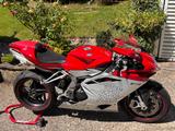 MV Agusta F4 1000R - Angebote