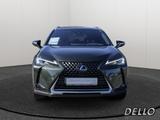 Lexus UX 250h Style Edition LENKRADHEIZUNG LED Carplay - Lexus UX: Style Edition