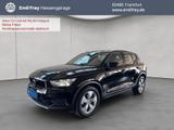 Volvo XC40 T3 Momentum-Pro Navi LED-Thors-Hammer 1.Han - Volvo Gebrauchtwagen in Frankfurt