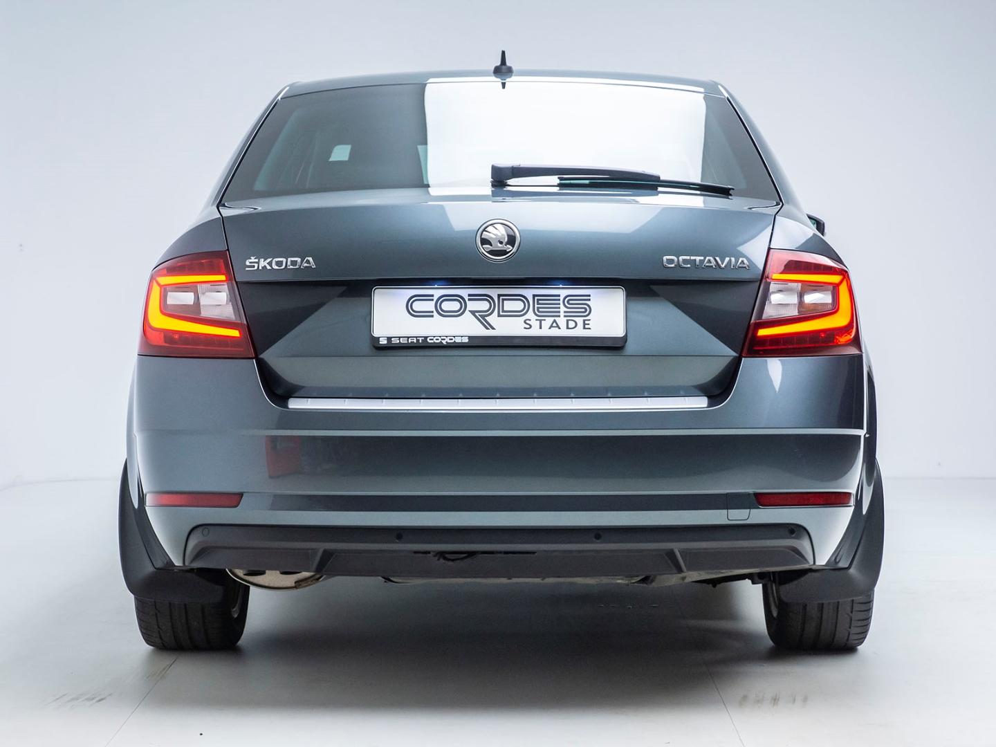 Skoda Octavia Style AUTOMATIK WINTERPAKET NAVI  (GW91)