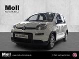 Fiat Panda Mild Hybrid City Paket  Gelato Weiß - Fiat Panda Gebrauchtwagen in Aachen