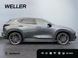 Lexus NX 350h Luxury Line *Pano*HUD*360*Navi*LED*SHZ* - Lexus: Allradantrieb