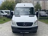 Mercedes-Benz Sprinter 311 CDI H2L2 *Klima*WEBASTO*Rampe* - mit Diesel-Antrieb: Behindertengerecht, Kombi
