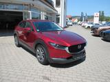 Mazda CX-30 L SKYACTIV-X 2.0 M Hybrid 6AG AL-SELECTION - Mazda CX-30: Selection