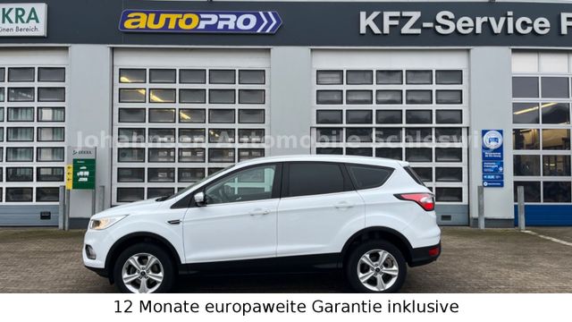 Ford Kuga Trend,Klima,AHK,2.Hand,Allwetterreifen