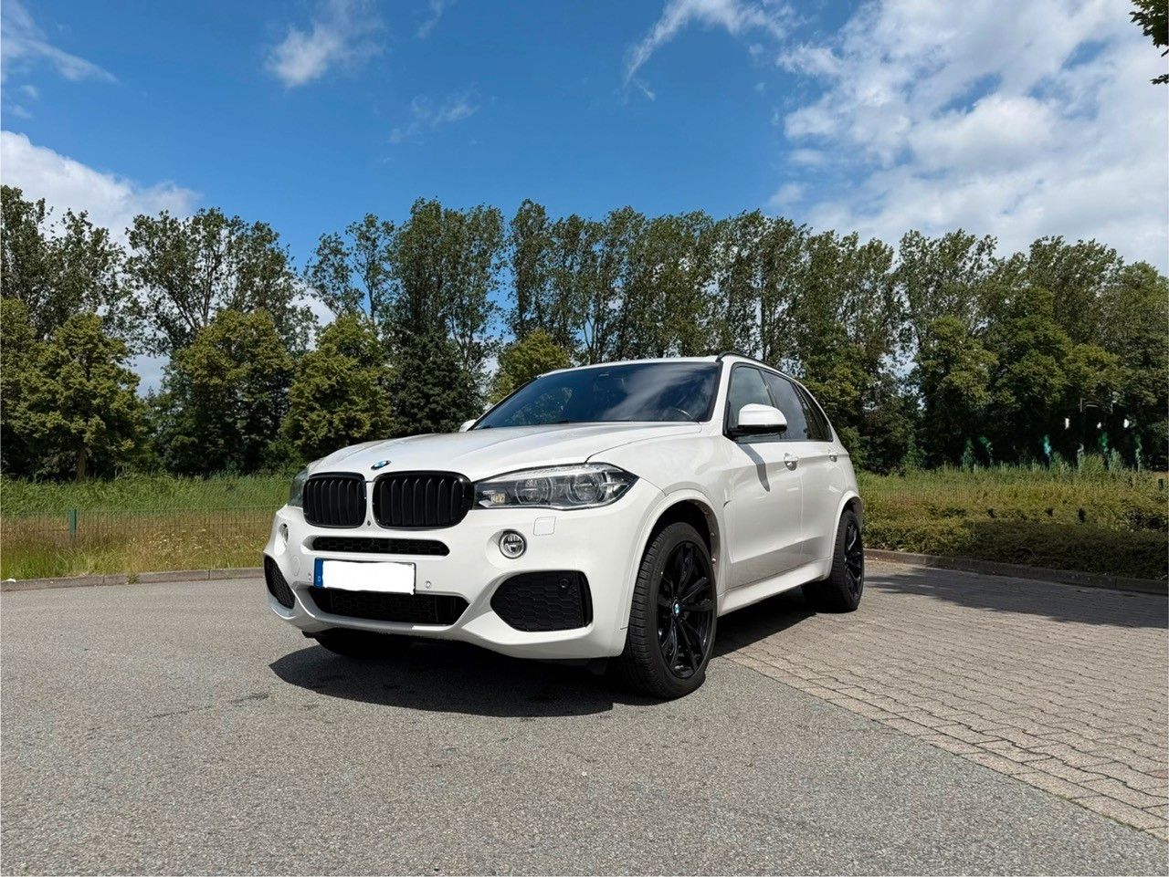 BMW X5 xDrive30d - MSport * AHK * Pano * H&amp;K