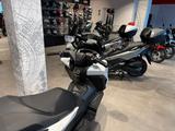 Honda Forza 125 Matt Cool White *sofort verfügbar* - HONDA ROLLER 125