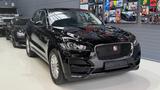 Jaguar F-Pace F-PACE Prestige 20d - Jaguar in Bonn