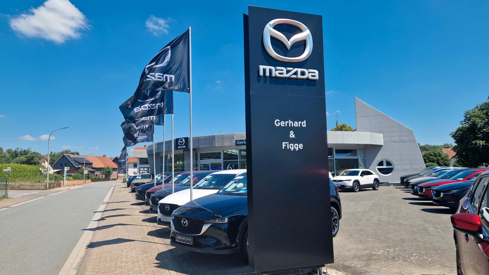 showroom-image-main