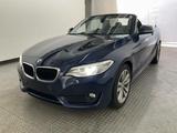 BMW 220d Cabrio Advant 1.Hd Navi H&K Xen Kamera PDC - mit Diesel-Antrieb: Blau, Cabrio