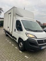 Fiat Ducato Transporter - Fiat: Transporter
