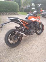 KTM Duke 125 - KTM DUKE 125