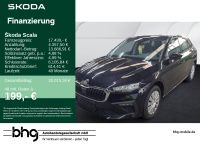 Skoda Scala - Vorschau Bild 1