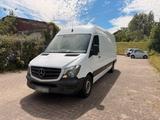 Mercedes-Benz Sprinter 314 CDI Maxi Mixto lang hoch 3 Si... - Mercedes-Benz Sprinter: Maxi Lang