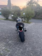 Suzuki Bandit 1200 gepflegt, viele Extras, frischer TÜV - Angebote