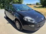 Fiat Punto More - gebrauchte Fiat Punto aus dem Jahr 2013