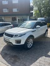 Rover Andere - gebrauchte Rover Limousine