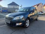 Skoda Roomster Family - Skoda Roomster Family