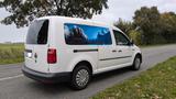 Volkswagen Caddy Maxi Kasten 2,0TDI  Standhzg. ACC,Bluetoot - Volkswagen Caddy Maxi Gebrauchtwagen in Mülheim (Ruhr)