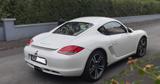 Porsche Cayman S 987.2, Chrono, PDK, wenig km unfallfrei - Porsche: 987