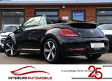 Volkswagen Beetle 1.4 TSI Exclusive Design |Bi-Xenon|Kamera - gebrauchte Roadster