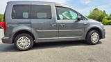 Volkswagen Caddy 1,0TSI 75kW BMT Trendline 5-Sitzer  - Volkswagen Caddy: 7