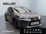 Lexus UX 250h Launch Edition *Bi-LED*ACC*CAM*SHZ*Navi* - Lexus UX 250h Gebrauchtwagen