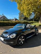 Volkswagen Beetle 1.2 TSI DSG BMT ALLSTAR Cabriolet ALLSTAR - Volkswagen Beetle ALLSTAR mit Benzin-Antrieb