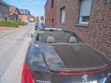 Peugeot 308 CC Tendance 120 VTi Tendance - Peugeot 308 Tendance mit Benzin-Antrieb