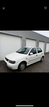 Volkswagen Polo 1.4 Basis Variant Basis - Volkswagen Polo: Variant