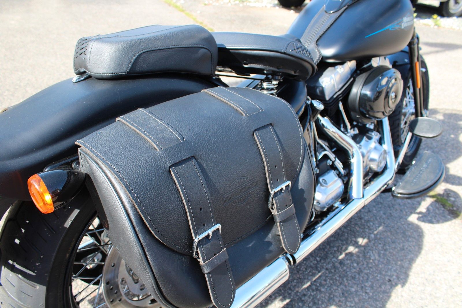 FLSTSB Softail Cross Bones Springer