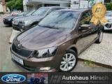 Skoda Fabia Joy Sperrdiff. Klimaautom DAB Sitzheizung  - Skoda Fabia mit Benzin-Antrieb: Limousine