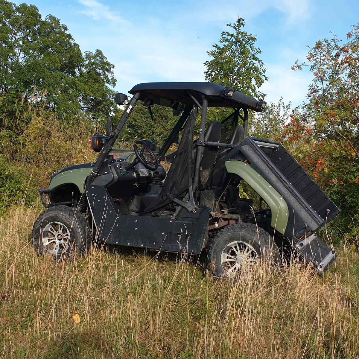 Goes  2010 — engine 500 cm³, 18 HP (13kW)