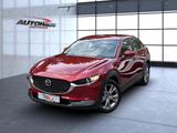 Mazda CX-30 SKYACTIV-X Selection 2WD Automatik Navi - Mazda Gebrauchtwagen von 2020