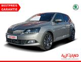 Skoda Fabia 1.0 Ambition Navi PDC SmartLink Tempomat - Skoda Fabia Ambition mit Benzin-Antrieb
