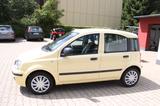 Fiat Panda 1.2 8V Classic - Fiat Panda: Gelb