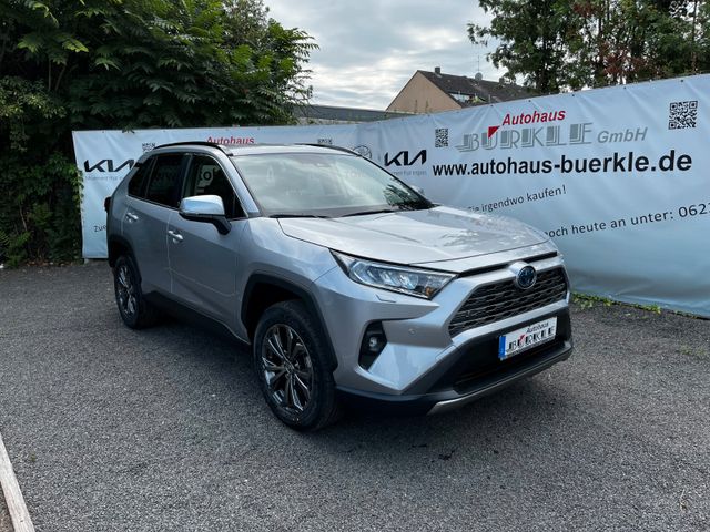 Toyota RAV4+HYBRID+4x2+TEAM+DEUTSCHLAND+TECHNIKPAKET+++