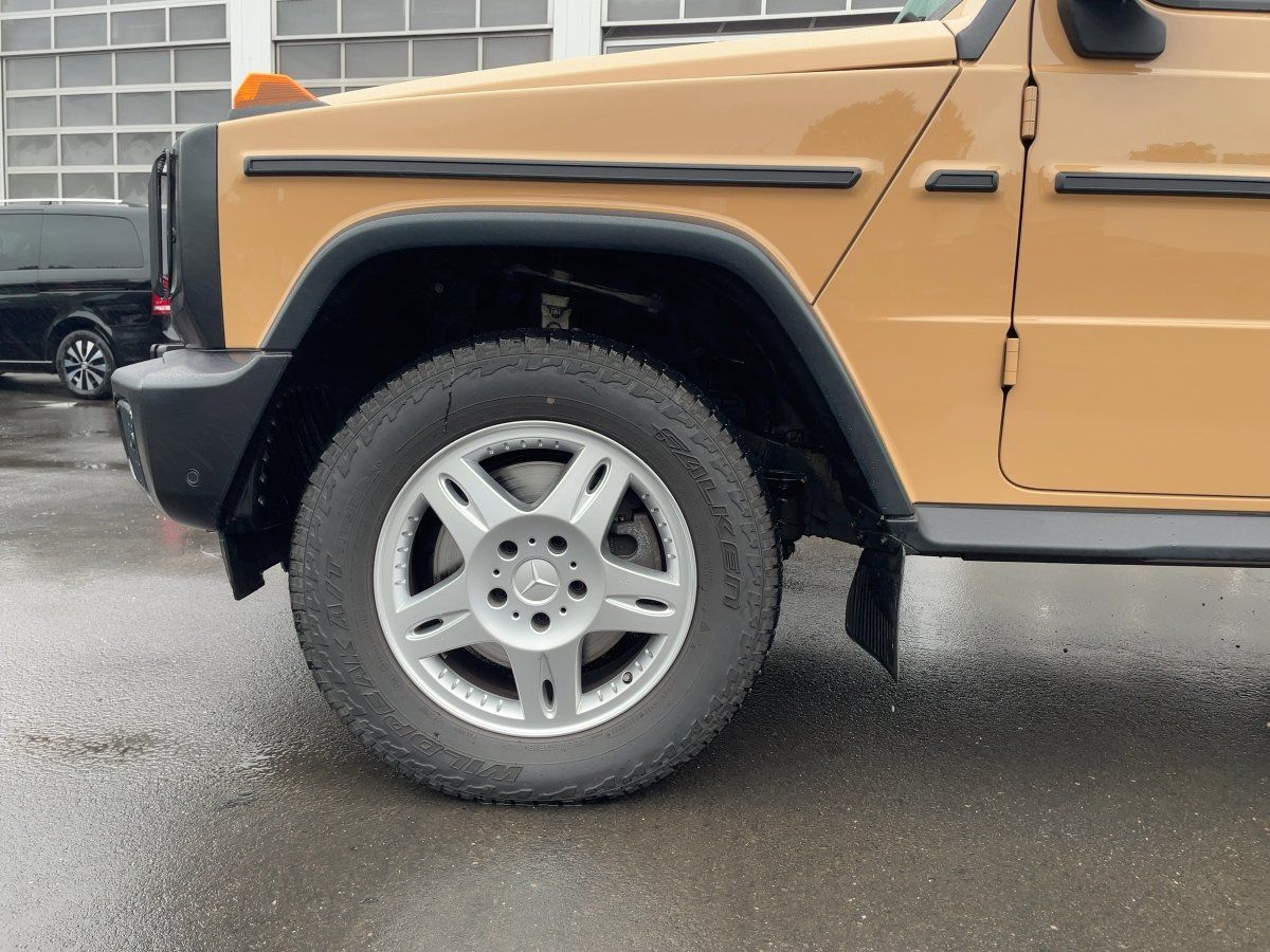 Fahrzeugabbildung Mercedes-Benz G 450 d Stronger Than The 80's