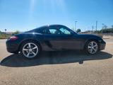 Porsche Cayman 987  - Porsche Cayman: 987