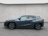 Lexus UX 250h F-Sport Design - Lexus UX: F Sport