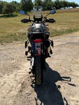 Triumph 900 Tiger Rally Pro - Triumph Tiger 900 Rally Pro