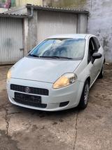 Fiat Punto 1.2 Weiß - Fiat Punto Gebrauchtwagen in Mannheim