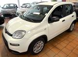 Fiat Panda Base - Fiat Panda Gebrauchtwagen in Bremen