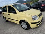 Fiat Panda 1.2 8V Dynamic - Fiat Panda mit 5 Türen
