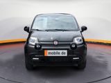 Fiat Panda 1.0 Mild Hybrid City Plus Klima/Sitzhzg. - Fiat Panda in Nürnberg